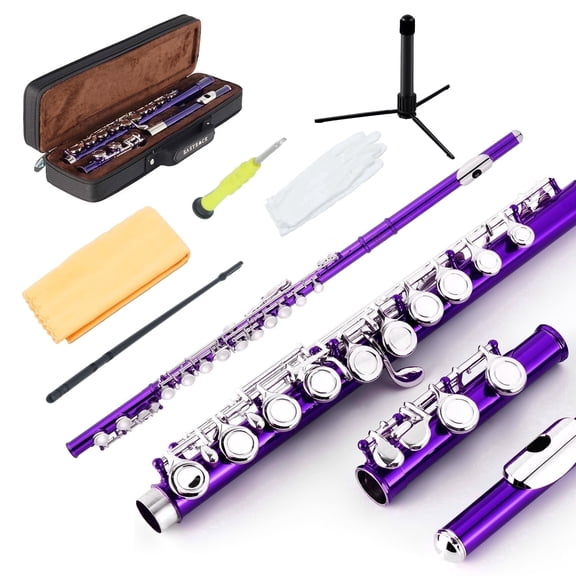 EASTROCK Closed Hole Nickel Plated Flute Soprano Recorder in C 16 with Professional Care Set for School Ensembles and Beginners Purple