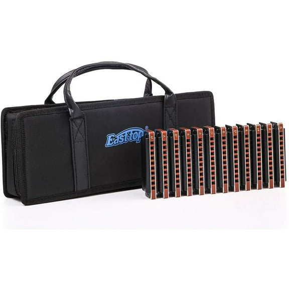 EASTTOP Harmonica Set 12Pack Diatonic Blue 10Hole Harmonica Set Party Lover Gift