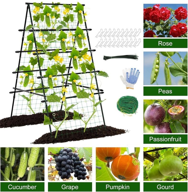 EAYSG 6FT Cucumber Trellis for Raised Bed, A Frame Garden Trellis for Climbing Plants Outdoor, Metal Plant Support with Net for Vegetables , Flowers, Vines