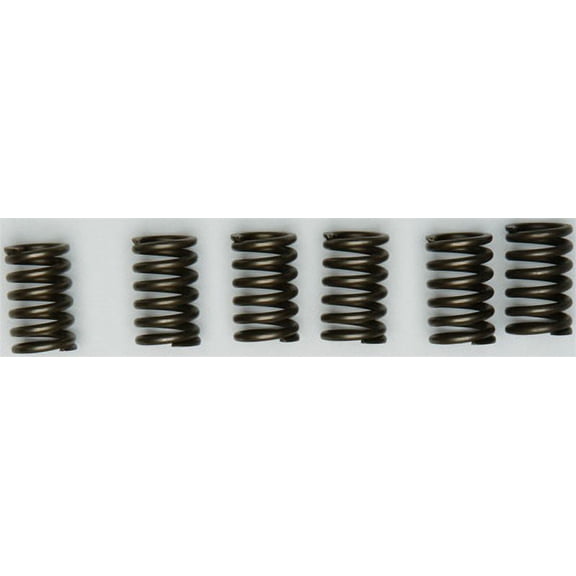 EBC CSK131 CSK Clutch Spring Kit