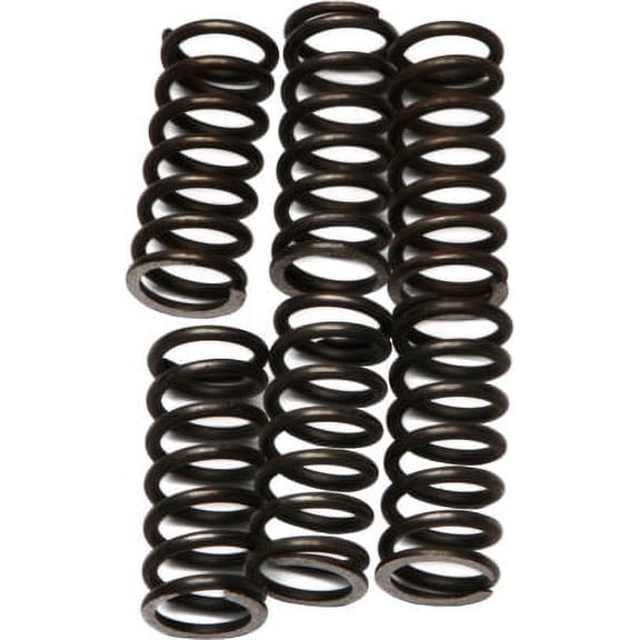 EBC CSK Clutch Spring Kit CSK46