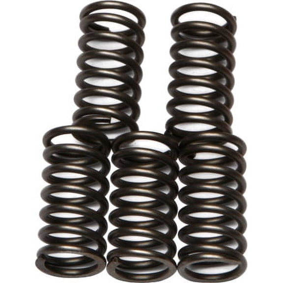 EBC CSK Clutch Spring Kit CSK65