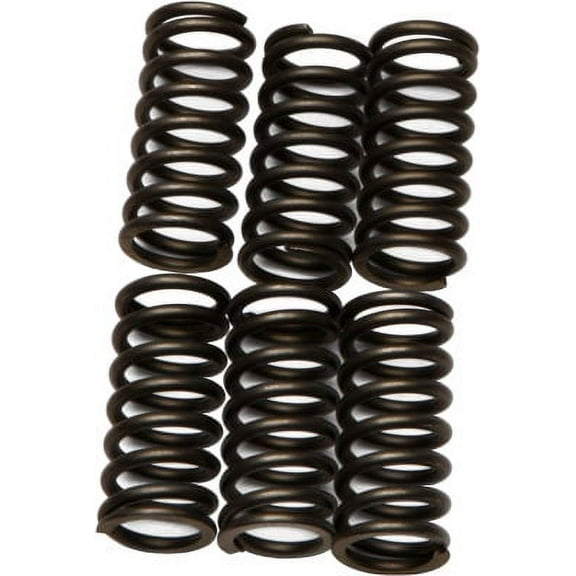 EBC CSK80 CSK Clutch Spring Kit