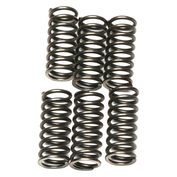 EBC - CSK Series Heavy Duty Clutch Spring Kit