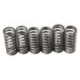 thumbnail image 1 of EBC CSK Series Heavy Duty Clutch Spring Kit, 1 of 2