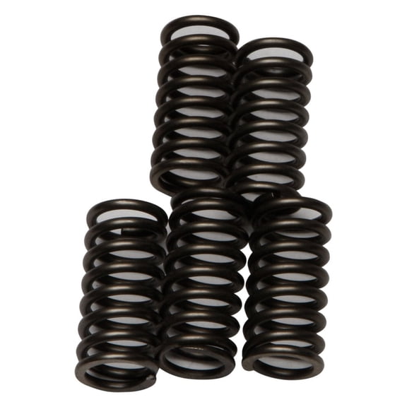EBC - CSK Series Heavy Duty Clutch Spring Kit