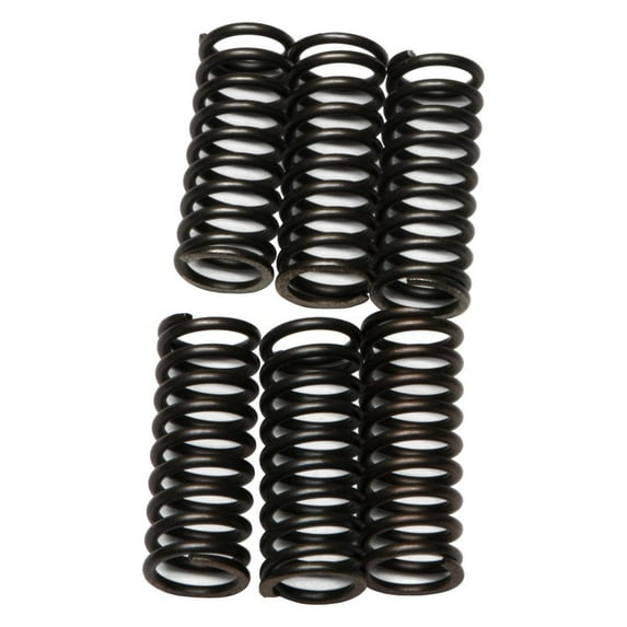 EBC CSK Series Heavy Duty Clutch Spring Kit