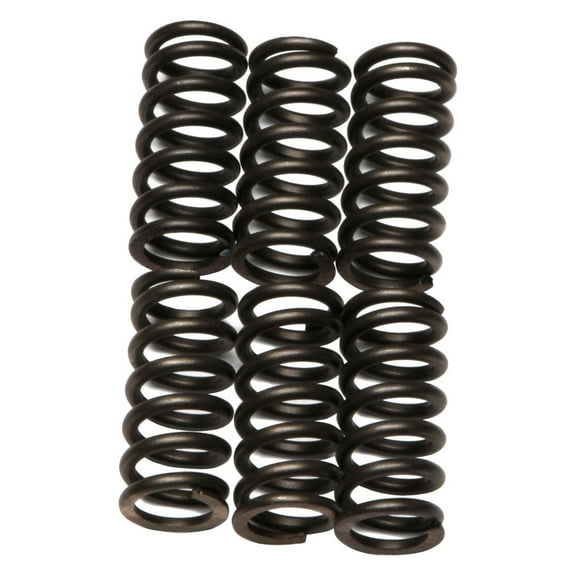 EBC - CSK Series Heavy Duty Clutch Spring Kit