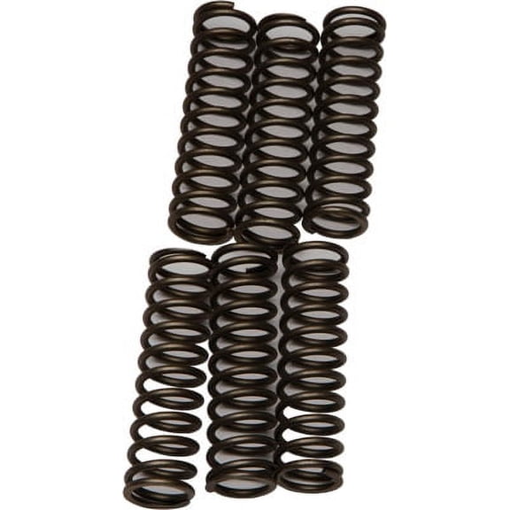 EBC CSK109 CSK Clutch Spring Kit