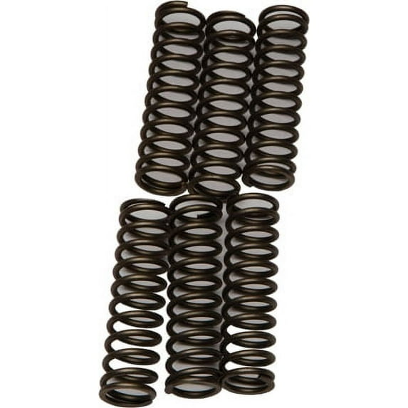 EBC CSK109 CSK Clutch Spring Kit