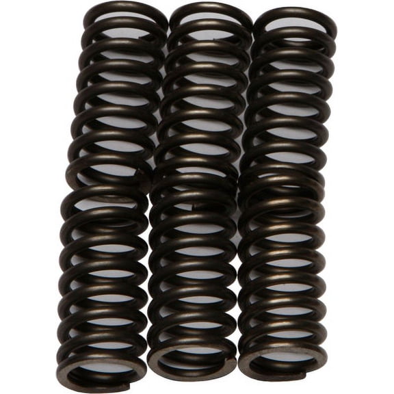 EBC CSK111 CSK Clutch Spring Kit