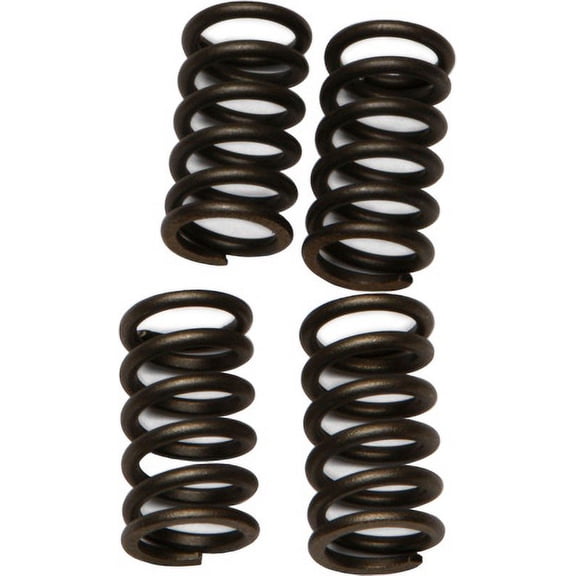 EBC CSK139 CSK Clutch Spring Kit