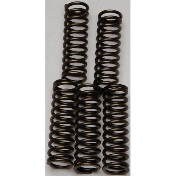 EBC CSK169 CSK Clutch Spring Kit