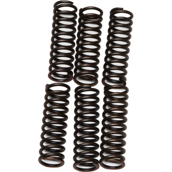 EBC CSK17 CSK Clutch Spring Kit