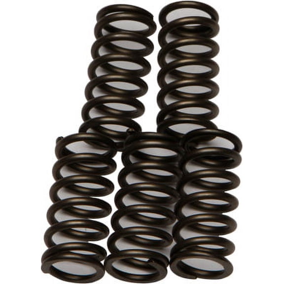 EBC CSK176 CSK Clutch Spring Kit