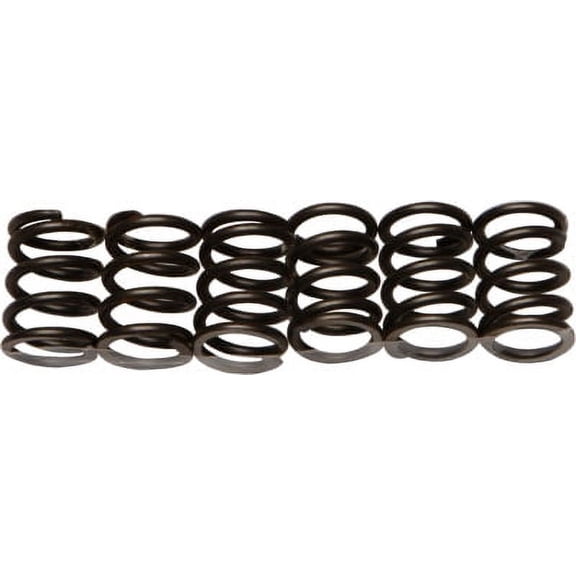 EBC CSK19 CSK Clutch Spring Kit
