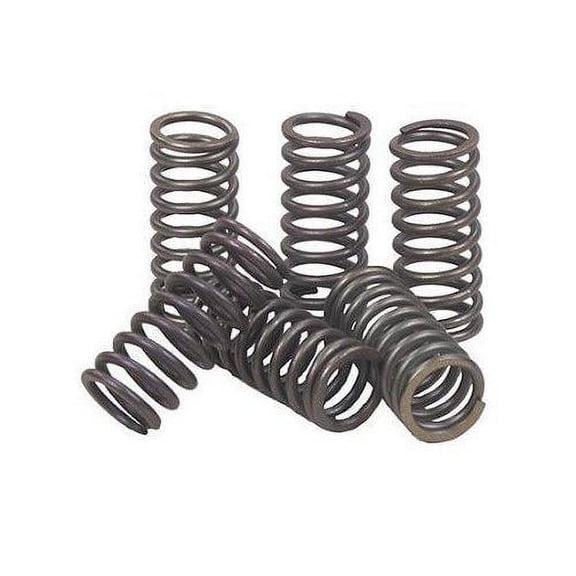 EBC CSK201 CSK Clutch Spring Kit