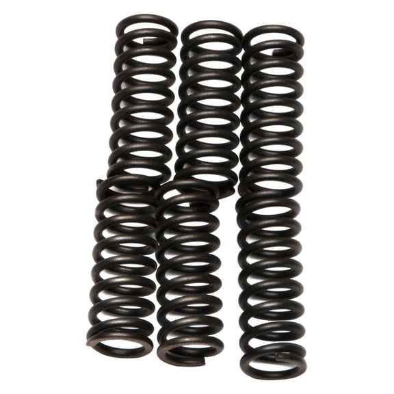 EBC CSK27 - CSK Series Heavy Duty Clutch Spring Kit