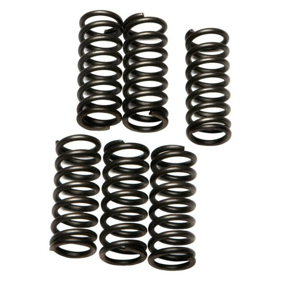 EBC CSK28 - CSK Series Heavy Duty Clutch Spring Kit