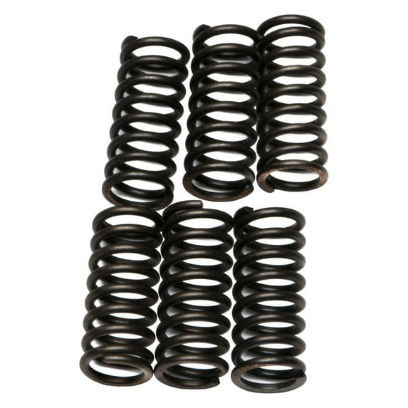 EBC CSK29 - CSK Series Heavy Duty Clutch Spring Kit