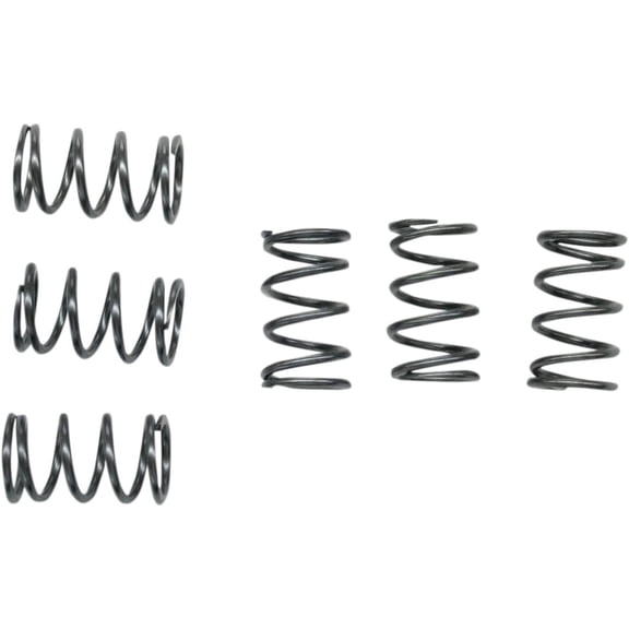 EBC CSK40 CSK Clutch Spring Kit