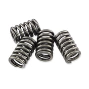 EBC CSK61 CSK Clutch Spring Kit
