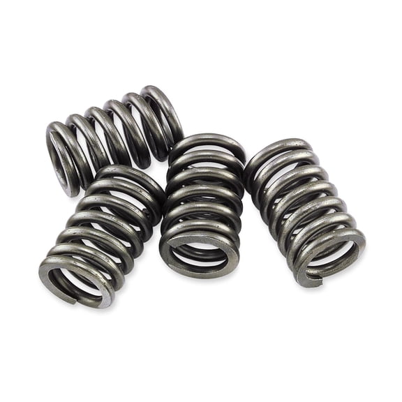 EBC CSK61 CSK Clutch Spring Kit