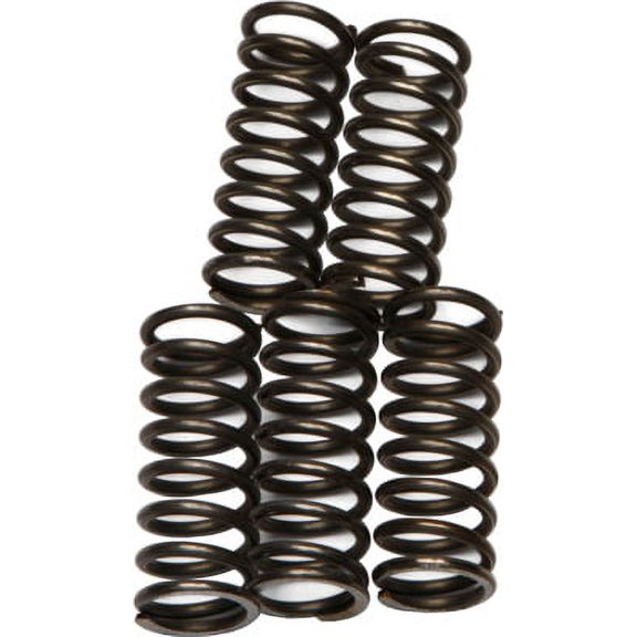 EBC CSK66 CSK Clutch Spring Kit