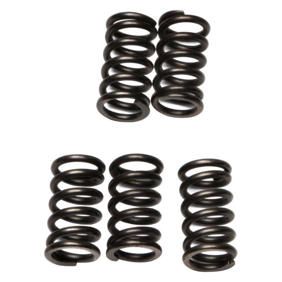 EBC CSK78 - CSK Series Heavy Duty Clutch Spring Kit