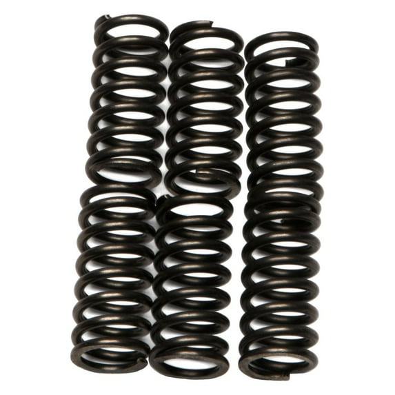EBC CSK91 - CSK Series Heavy Duty Clutch Spring Kit