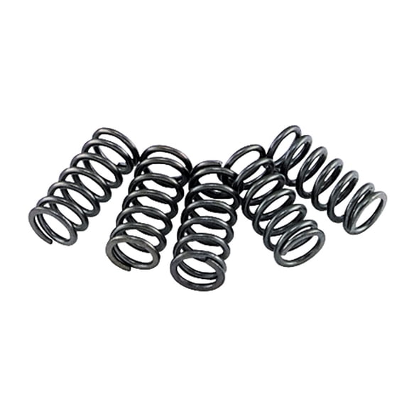 Ebc Clutch Spring Set
