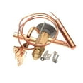 thumbnail image 1 of EBFDE-AAA-ZP Expansion Valve, 1 of 1