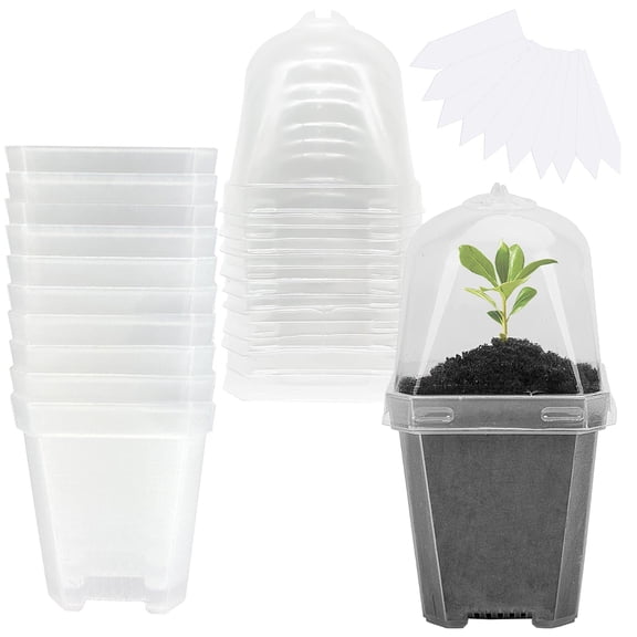 EBaokuup 10 Pcs 3 inch Clear Nursery Pots with Humidity Domes, Plastic Seed Starting Pots for Succulents and Plants
