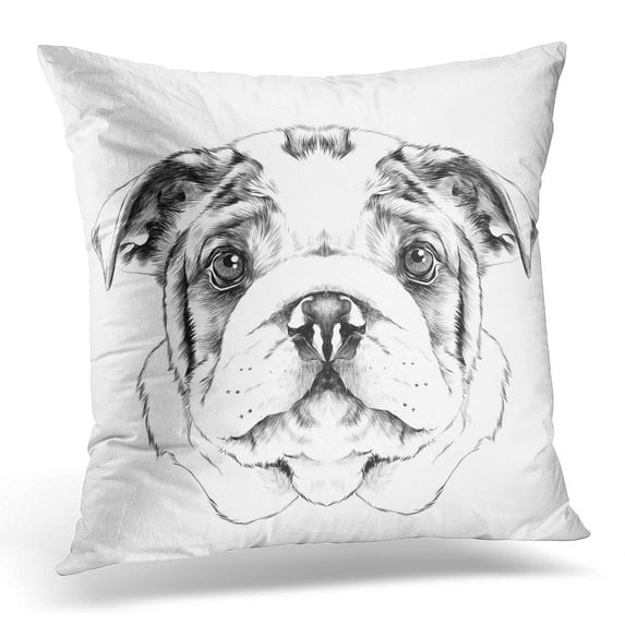 ECCOT 2018 Dog Breed American Bulldog Head Sketch Graphics Black and White Drawing Pillowcase Pillow Cover Cushion Case 16x16 inch