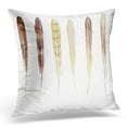 thumbnail image 1 of ECCOT Beige Airy Natural Feathers of Watercolor Brown Pillowcase Pillow Cover Cushion Case 20x20 inch, 1 of 1