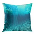 thumbnail image 1 of ECCOT Green Floor Blue Ocean Waves from Underwater Abstract Reef Deep Turquoise Sea PillowCase Pillow Cover 16x16 inch, 1 of 1