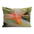 thumbnail image 1 of ECCOT Orange American Golden Rat Tail Cactus Flower Cleistocactus Winteri Pillowcase Pillow Cover Cushion Case 20x30 inch, 1 of 1