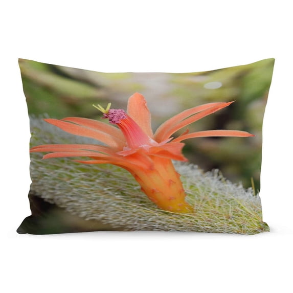 ECCOT Orange American Golden Rat Tail Cactus Flower Cleistocactus Winteri Pillowcase Pillow Cover Cushion Case 20x30 inch