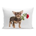 thumbnail image 1 of ECCOT Pretty Brown Chihuahua Dog Standing and Facing The Pillowcase Pillow Cover Cushion Case 20x30 inch, 1 of 1