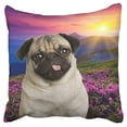 thumbnail image 1 of ECCOT Pug Sunshine Purple Flower Meadow Popular Design Gift Fans Easter Thanksgiving Pillow Case Pillow Cover 20x20 inch, 1 of 1
