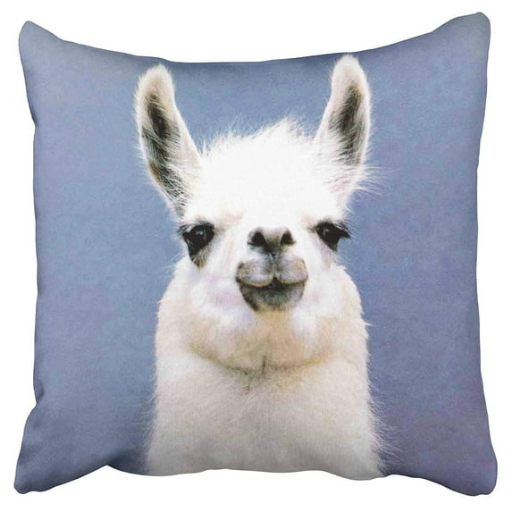 ECCOT Trendy Funny Lovely Llama Pillow Case Pillow Cover 20x20 inch