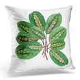 thumbnail image 1 of ECCOT Watercolor Painting Green Leaves Palm Leaf White Hand Tropical Aloha Exotic for Vintage Hawaii Pillowcase Pillow Cover Cushion Case 18x18 inch, 1 of 1