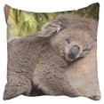 thumbnail image 1 of ECCOT s Koala Bear Tree Sleeps Bamboo Leaves Pillow Case Pillow Cover 16x16 inch, 1 of 1