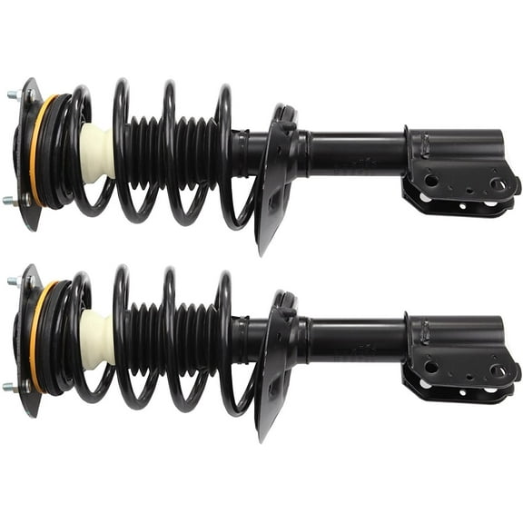 ECCPP Complete Struts Spring Assembly Front Struts Shock Absorber Fit for Buick Allure,for Buick LaCrosse, for Buick Century,for Buick Regal, for Chevrolet Monte Carlo,for Chevrolet Impala Set of 2