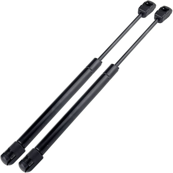 ECCPP Lift Support Hood Replacement Struts Gas Springs Fit For Chrysler 300 2005-2010,For Dodge Challenger 2008-2014,For Dodge Charger 2006-2010,For Dodge Magnum 2005-2008 Set of 2