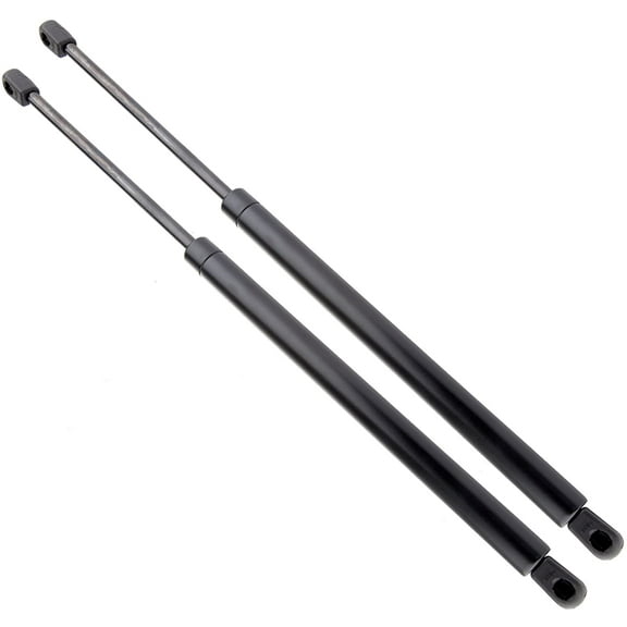ECCPP Lift Supports Rear liftgate Tailgate Struts Gas Springs Shocks for Chevrolet Trailblazer 2002-2009 4573 Strut Set of 2