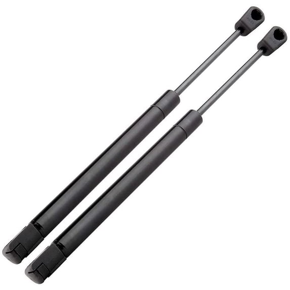 ECCPP Rear left and right Trunk Lift Support Fit for 2005-2008 for Chrysler 300 Replaces 6405 2pcs