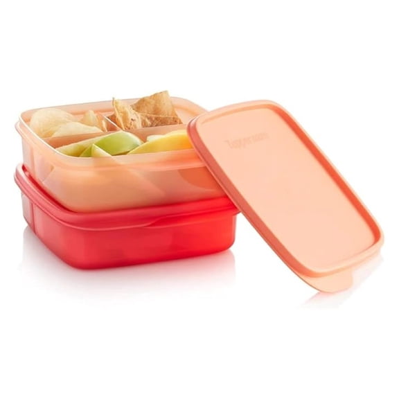 ECO+ Lunch It Container Set of 2 in Cozy Rosy and Emberglow