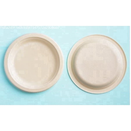 ECO SOUL 100% Compostable 10 Inch Bagasse Paper Plates, 100 counts | Heavy-Duty Disposable Plates | Eco-Friendly Made of Sugarcane Fibers-Natural Unbleached Biodegradable Plates
