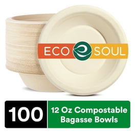 Vplus 150 Pack Compostable Disposable Paper Plates 10 inch Super Strong 100% Bagasse Natural Biodegradable Eco-Friendly Sugarcane Plates(nature)